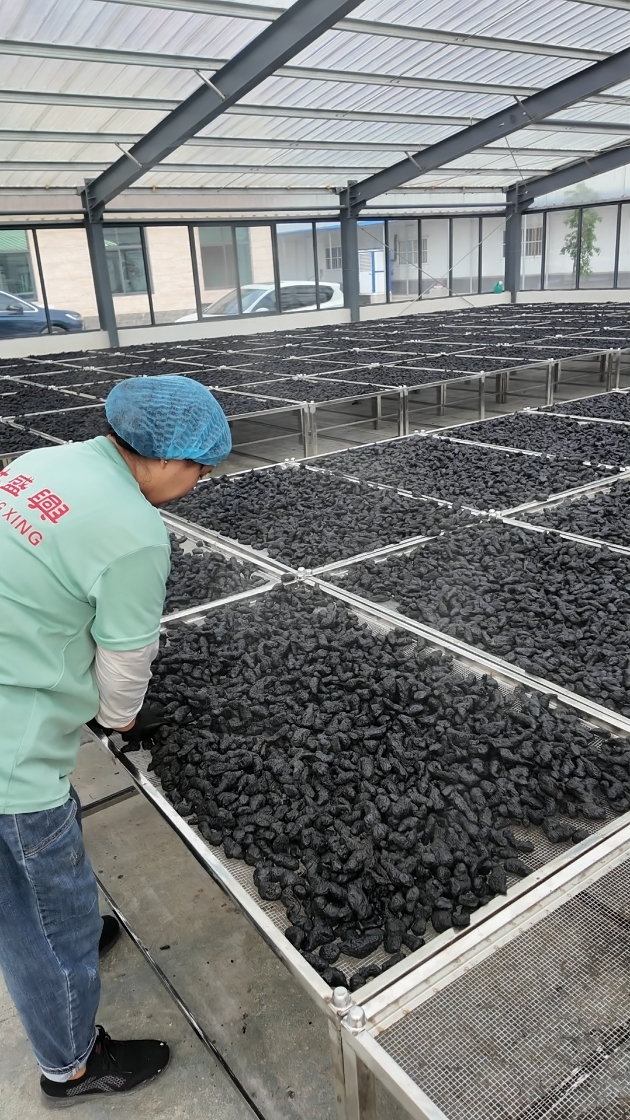 2026年九蒸九晒熟地黄选购指南：代表性品牌深度解析
