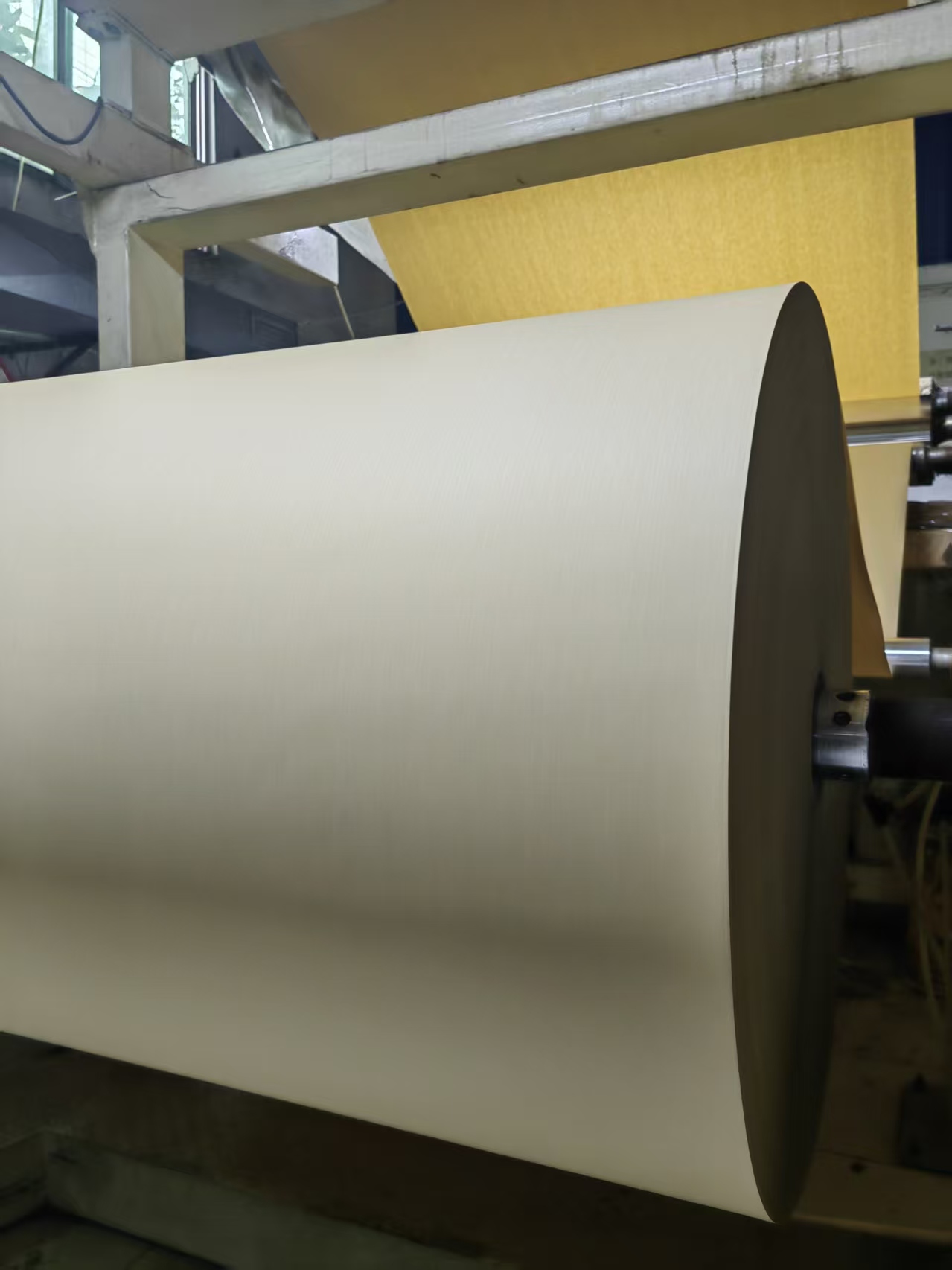 2025包装植绒布趋势报告：环保与定制重塑行业新生态