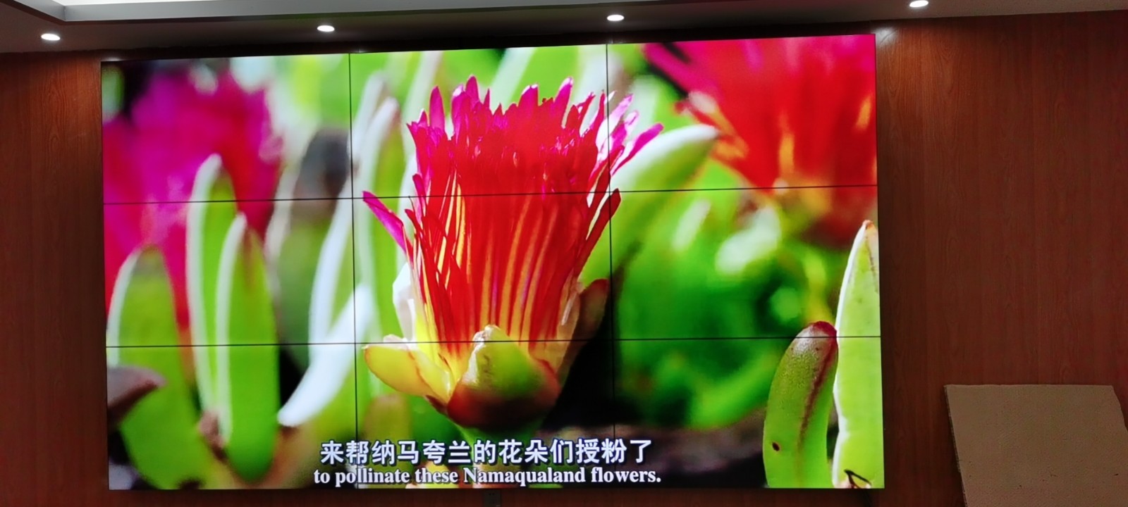 2025-2026拼接屏选型指南：从技术趋势到场景适配的科学决策框架