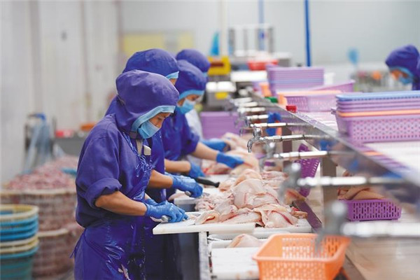 2026食品输送带深度选型指南：不同需求下的最佳匹配方案