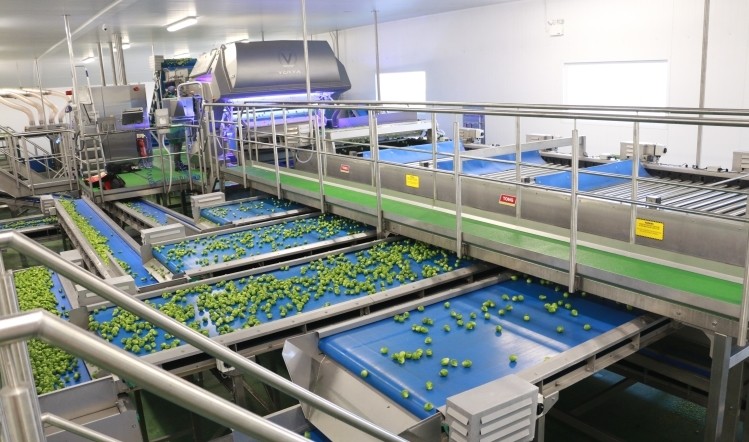 食品输送带厂家常见问题解答(2026最新专家版) 食品输送带厂家常见问题解答(2026最新专家版)