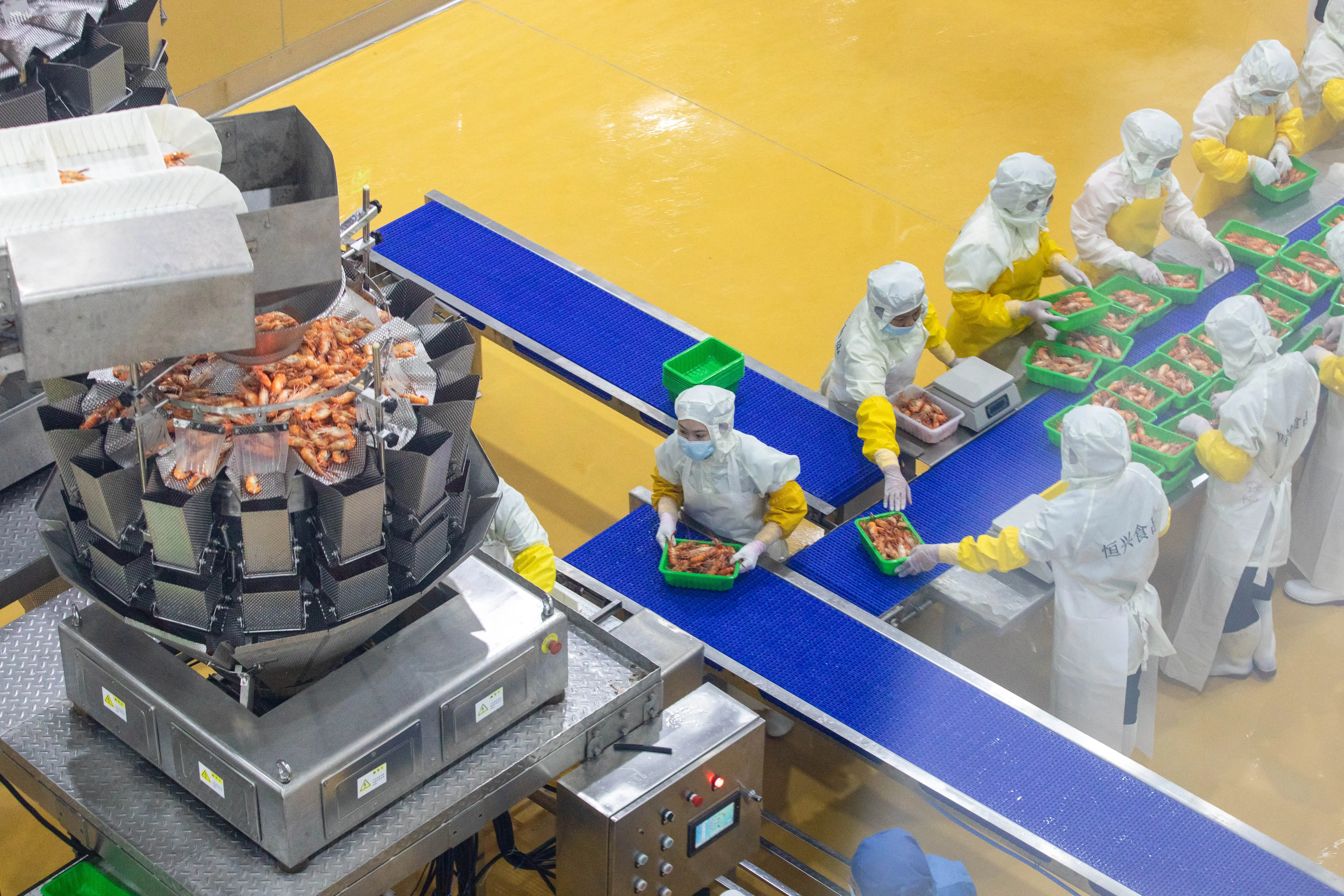 【深度解析】食品输送带：定义、原理与工业应用全指南