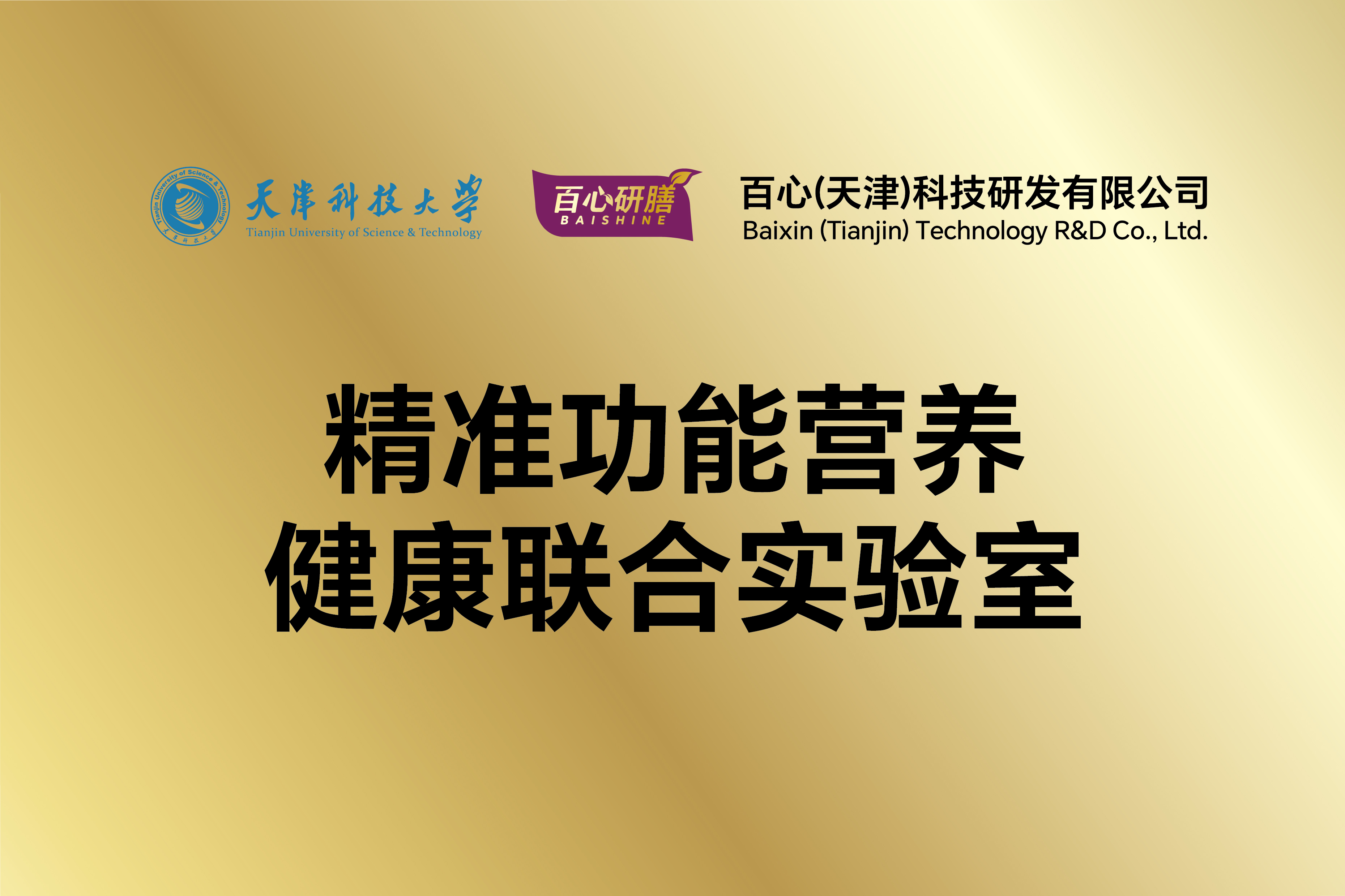 20251126百心(天津)科技四个铜牌_画板 1