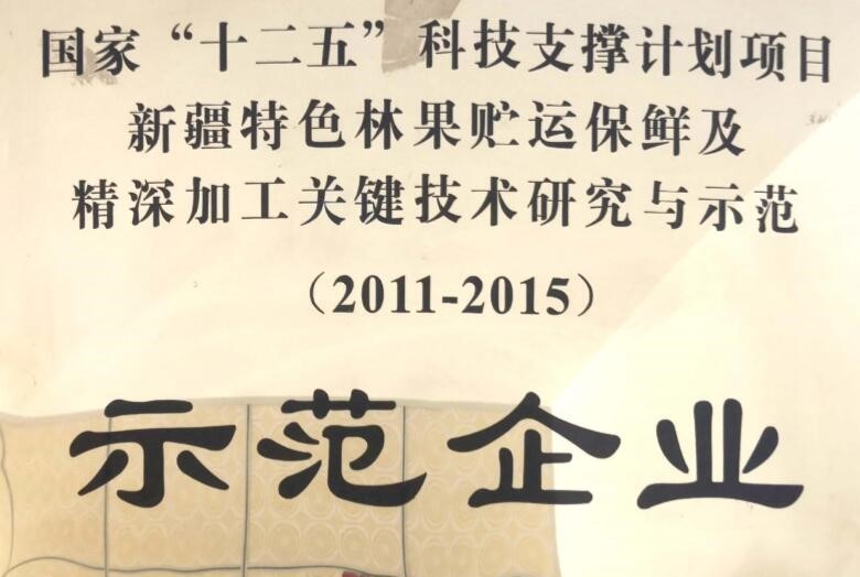 2025年新疆干坚果生产企业深度选型指南：如何匹配你的需求？