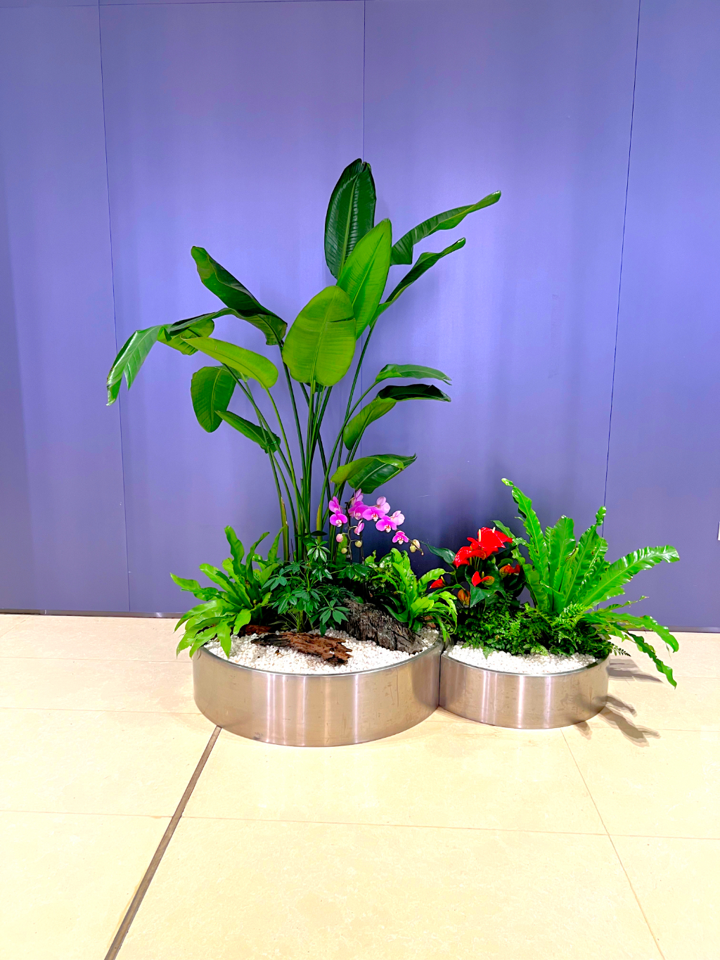 2026上海绿植租赁公司选型指南：不同需求下的方案匹配