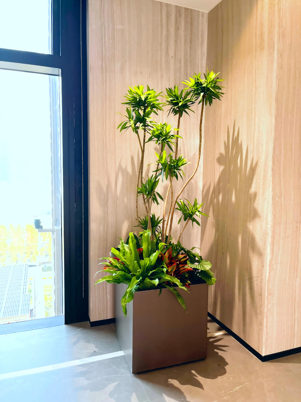 办公区花箱造景1