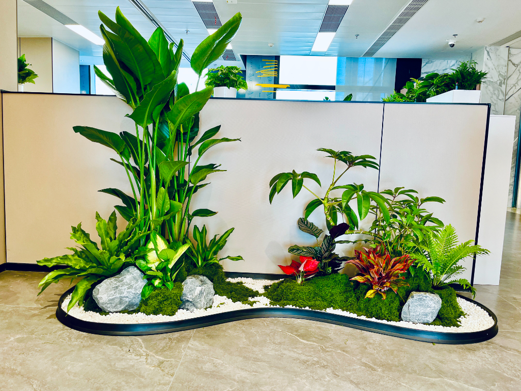 办公区植物造景3