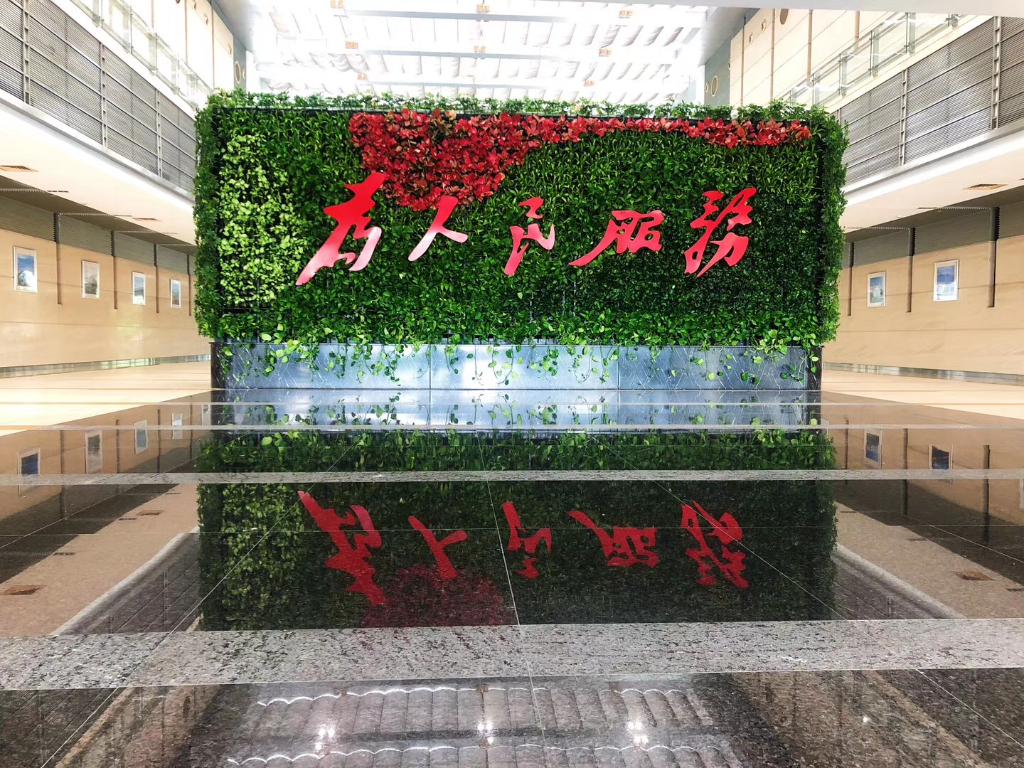 上海绿植养护公司常见问题解答（2026专家版）