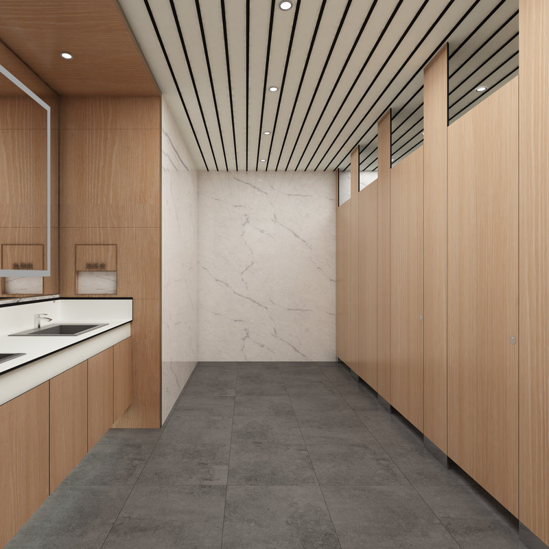 【深度解析】卫生间隔断：核心原理、应用场景与实践方案