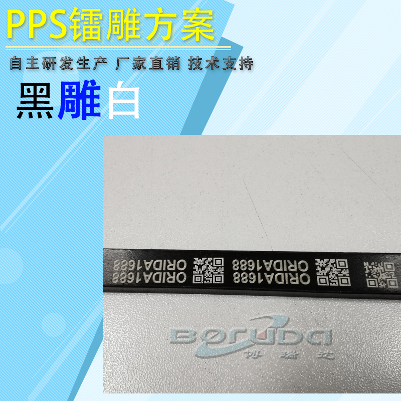 PPS黑雕白样版-1