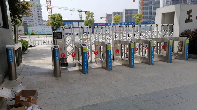 摆闸 (202)