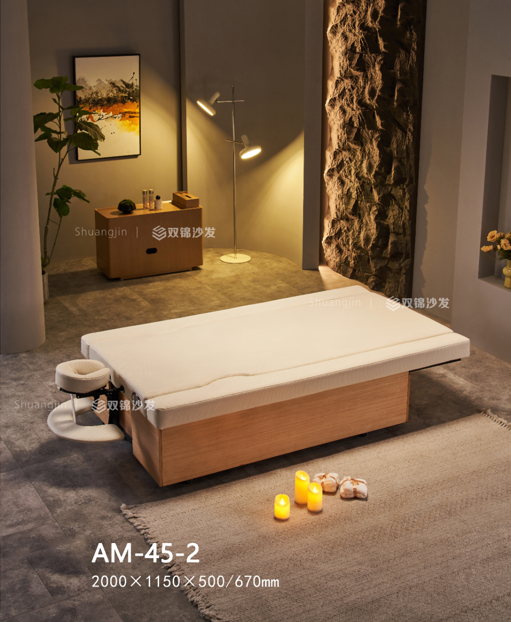AM-45-2主图2