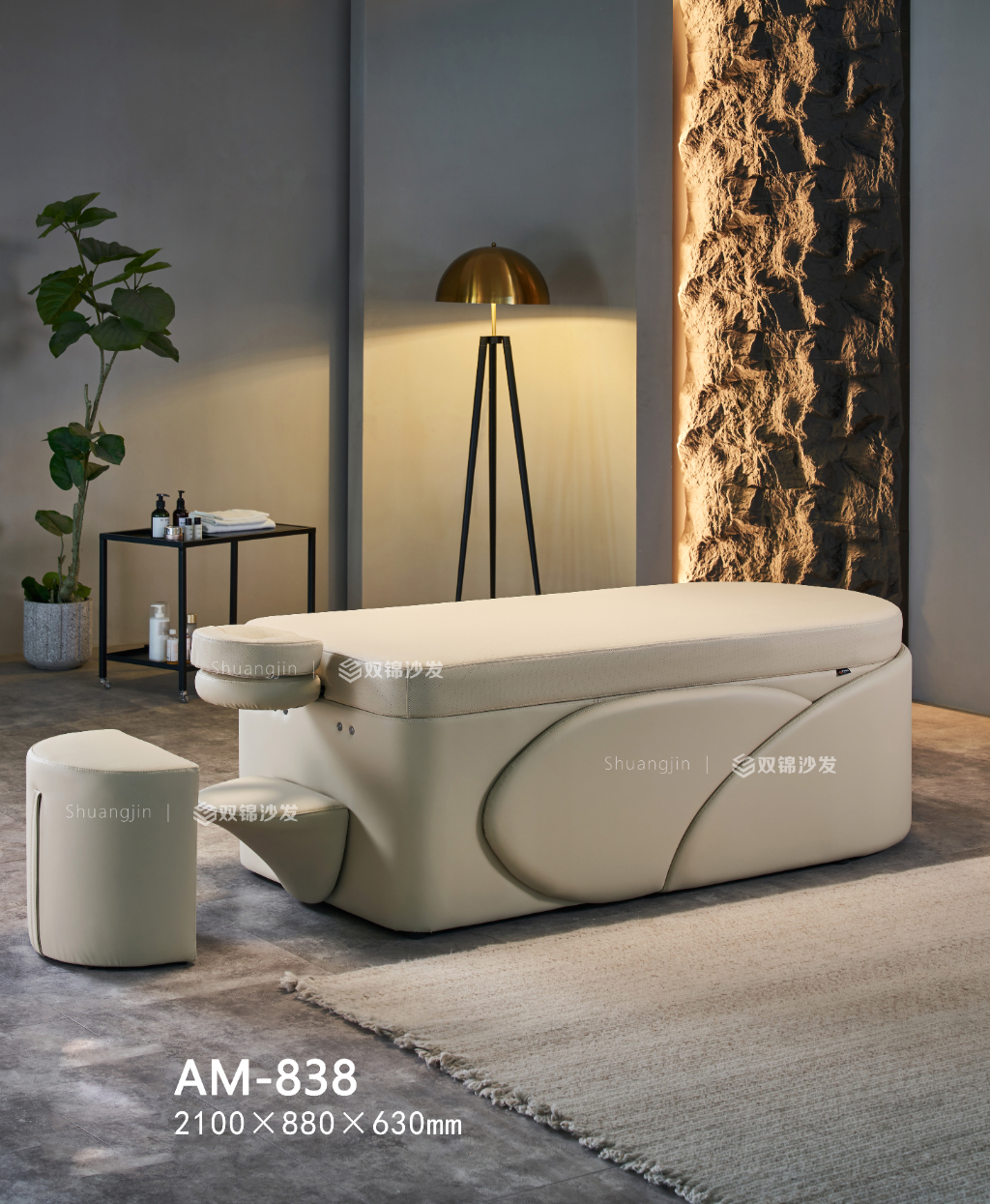 AM-838主图1