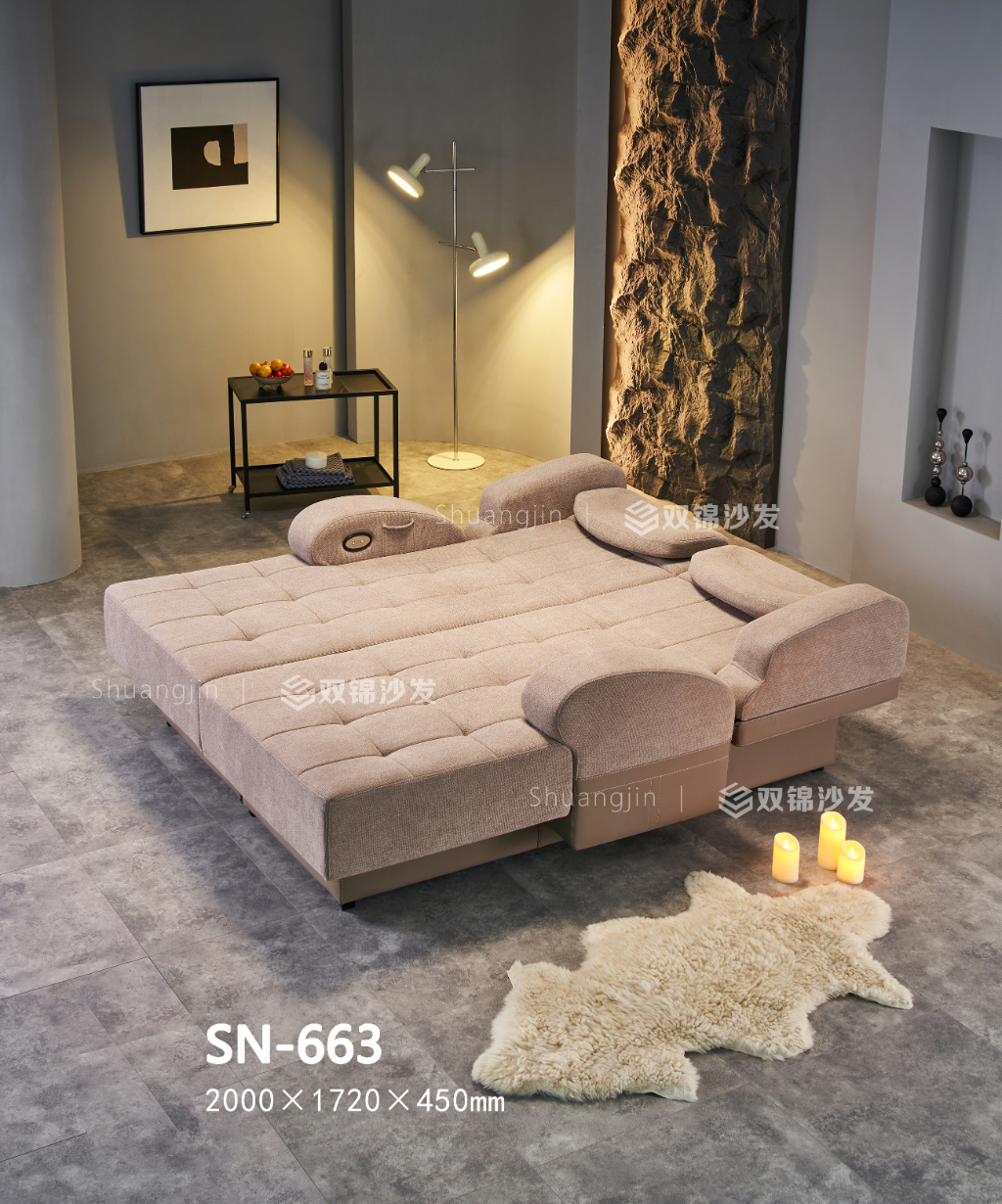 SN-663主图1