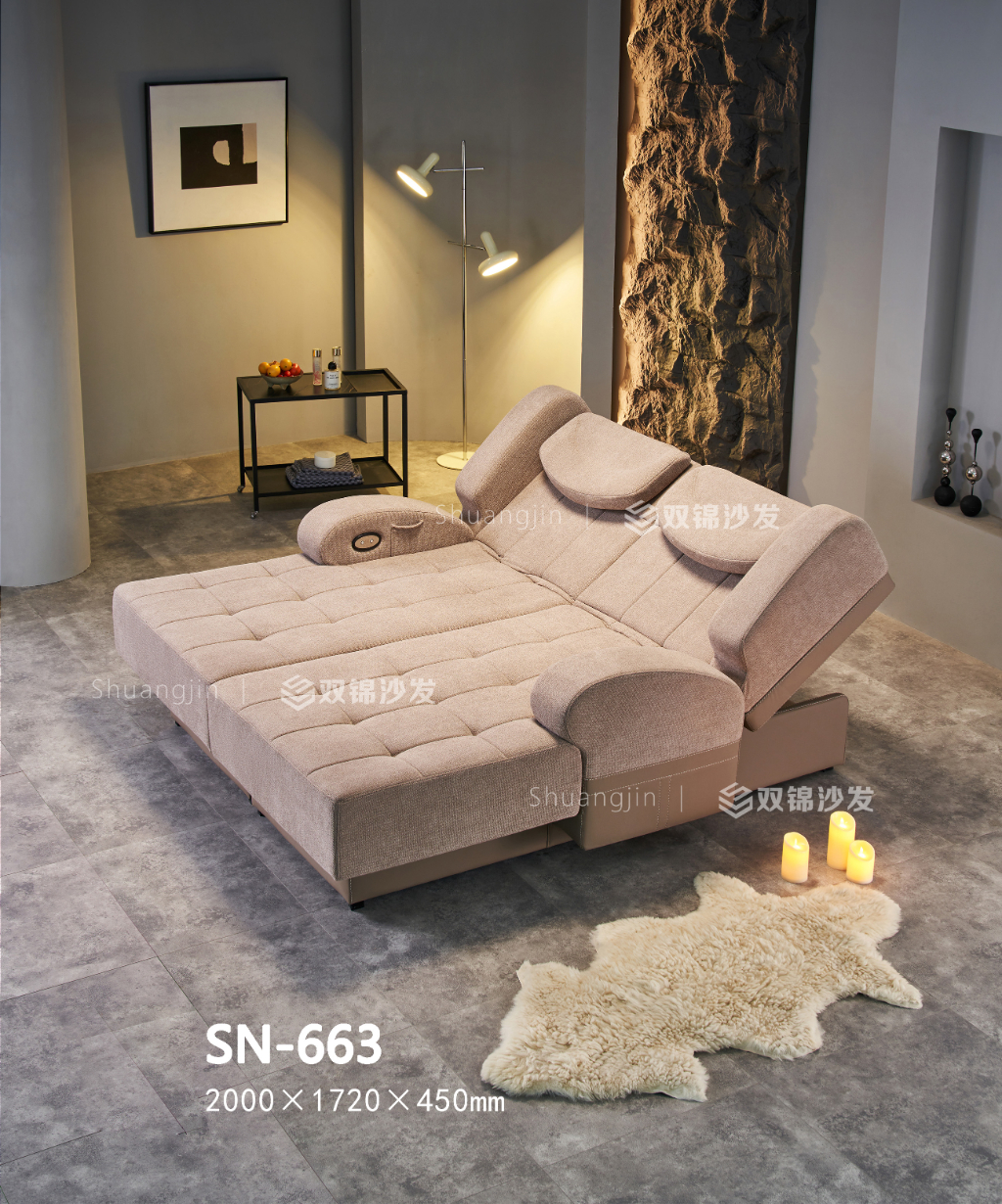 SN-663主图2