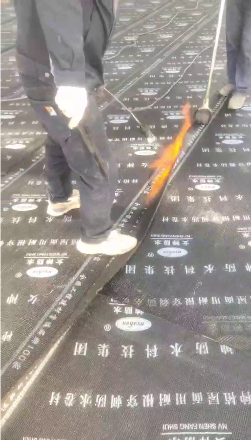 微信图片_20260610145925_38_6