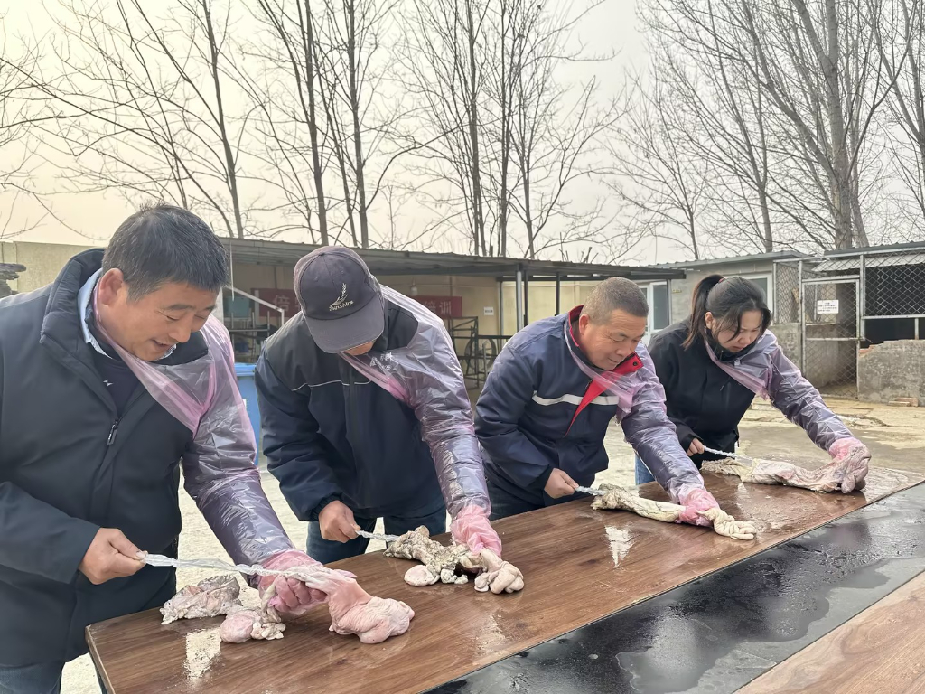 驴马排卵检测常见问题解答（2026专家版）
