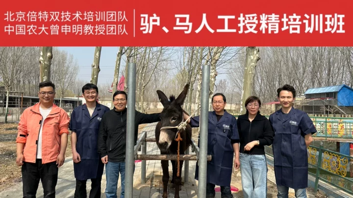 北京倍特双技术培训团队与<span class=