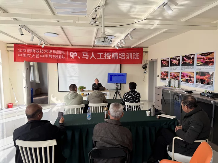 北京倍特双技术团队 - 理论知识教学