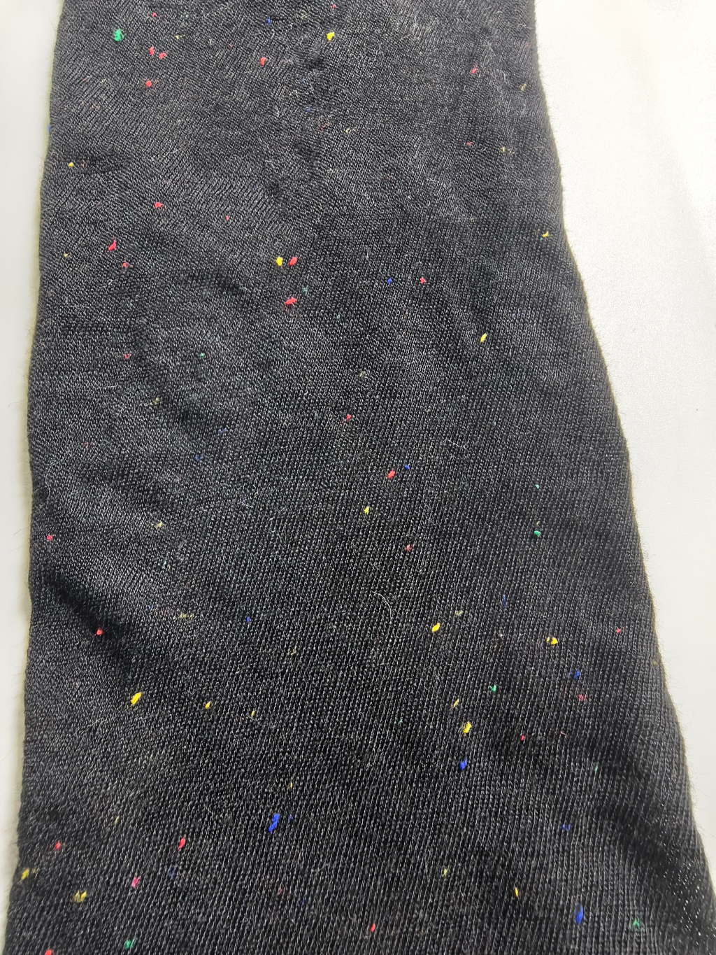 IMG_20251021_121216_1