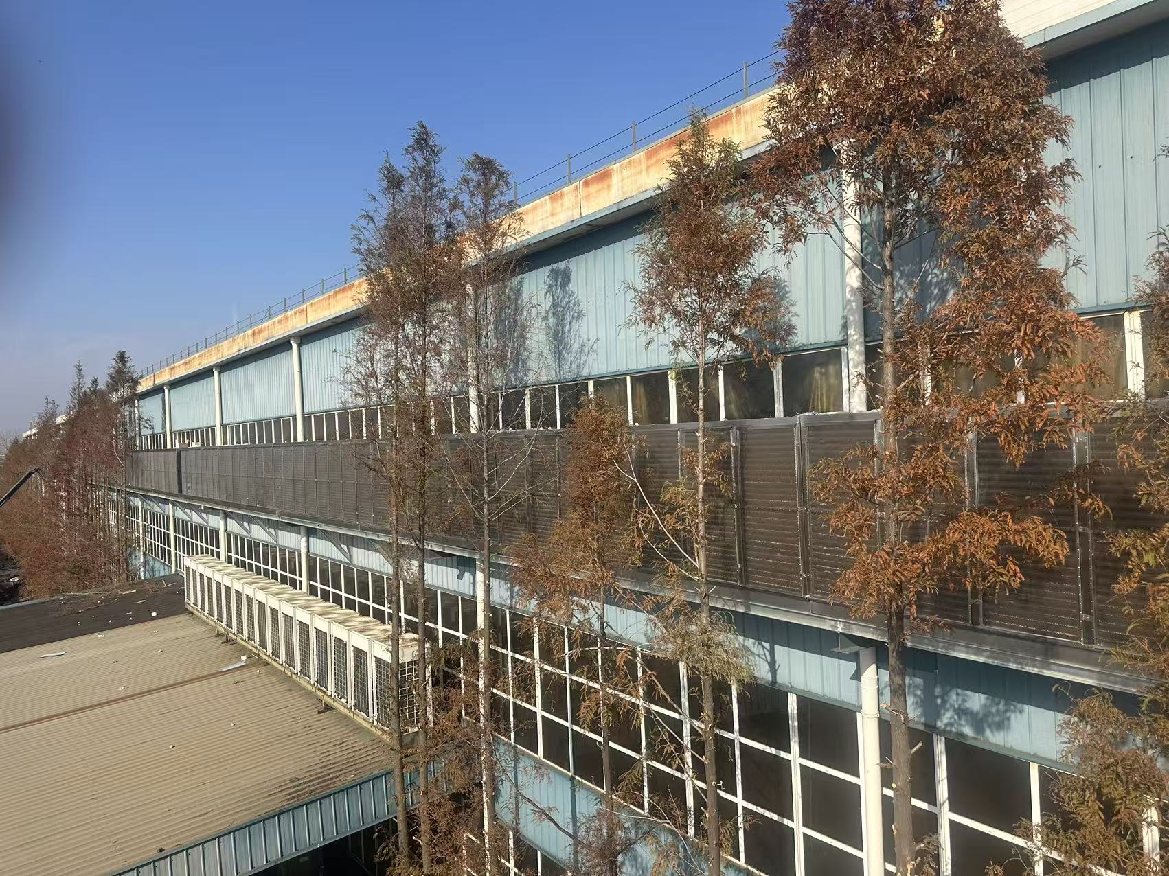 微信图片_20251207134506_415_11