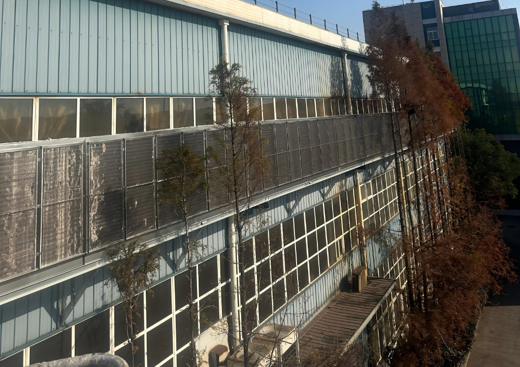 微信图片_20251207134521_421_11(1)