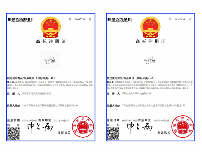 （42类）商标注册证WSTM SINCE2006王氏天茂