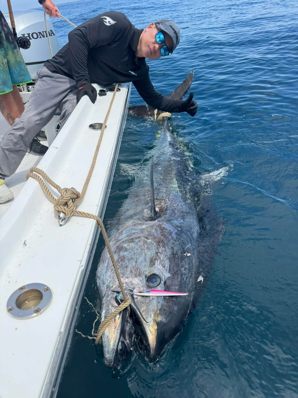直布罗陀蓝鳍金枪鱼243.5KG-R90钓获