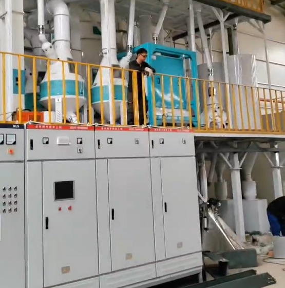 豆类加工成套设备-客户案例：承建越南日产150吨豌豆脱皮生产线2