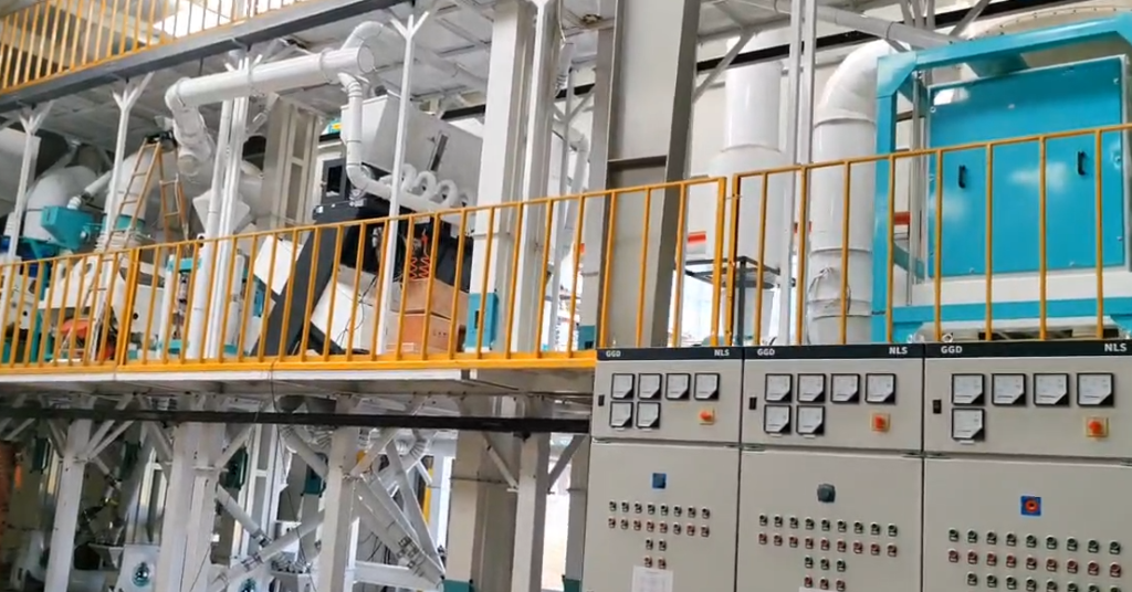 豆类加工成套设备-客户案例：承建越南日产150吨豌豆脱皮生产线1