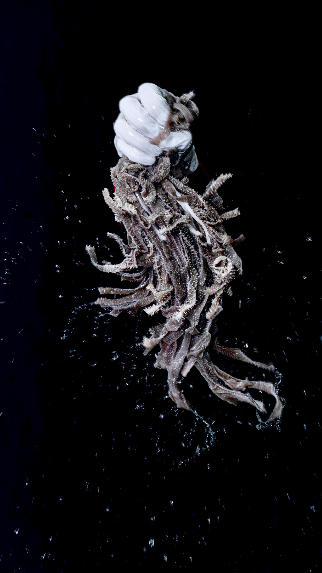 鲜爆肚丝80火锅毛肚食材批发