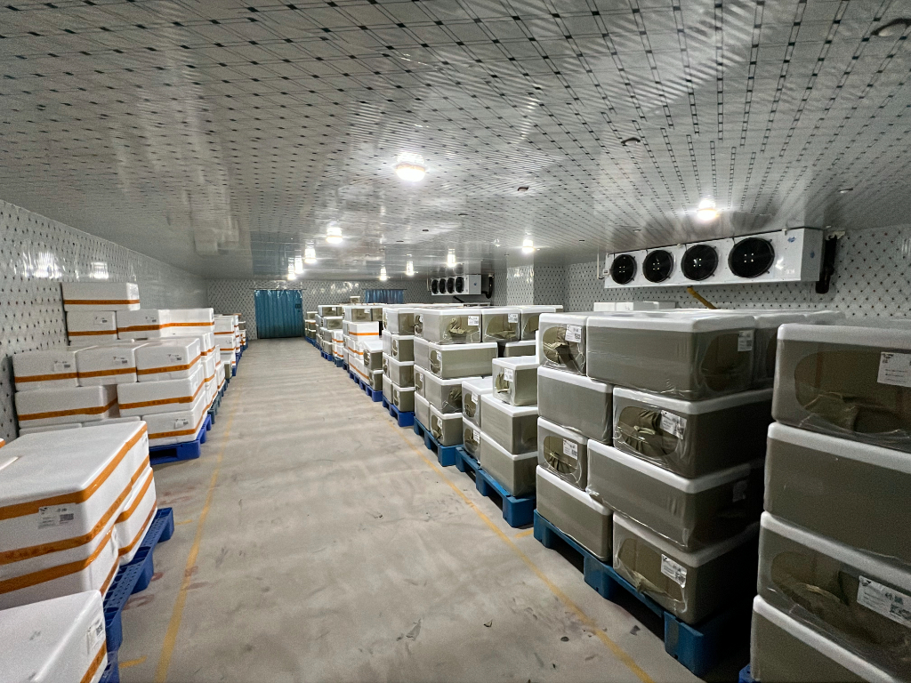 2026毛肚定制厂家深度选型指南：不同需求下的最佳匹配方案