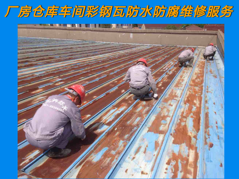 90829040_871078293_-167215265