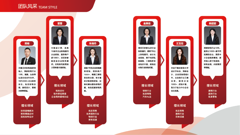 财税团队