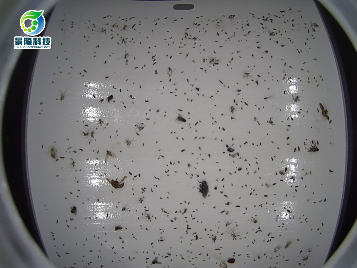 【深度解析】粘捕式灭蝇灯：核心原理、应用场景与食品级安全解决方案