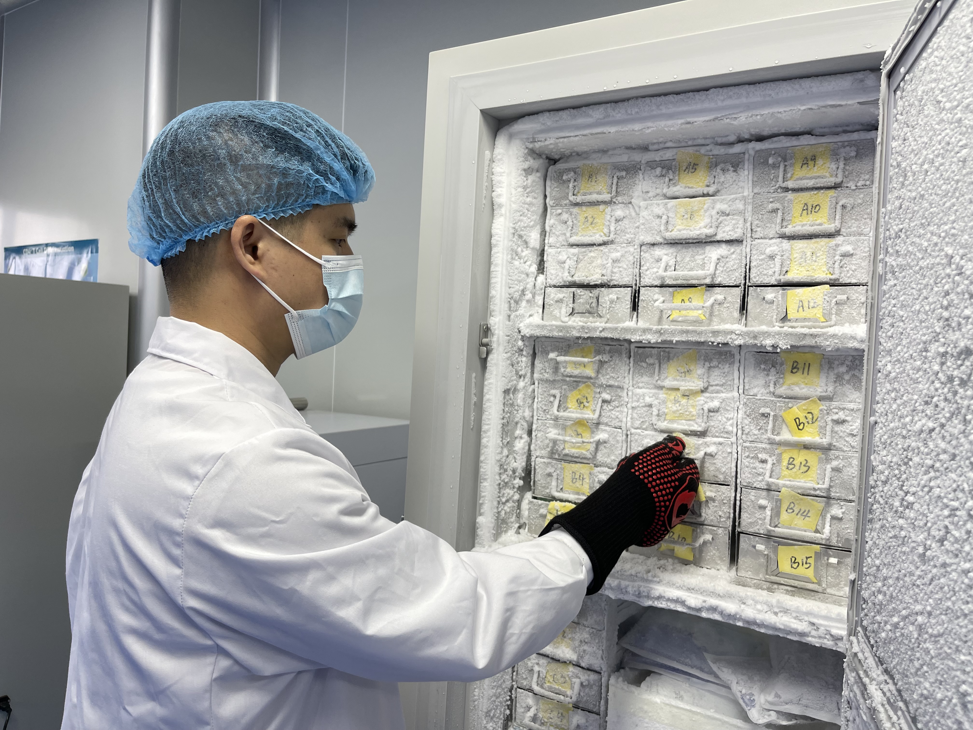 医学SCI论文辅导选购指南：从焦头烂额到按期发表的科学决策框架