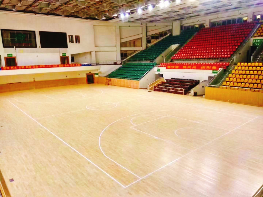 223226c9f74f6cb4373819d9d55c0e72