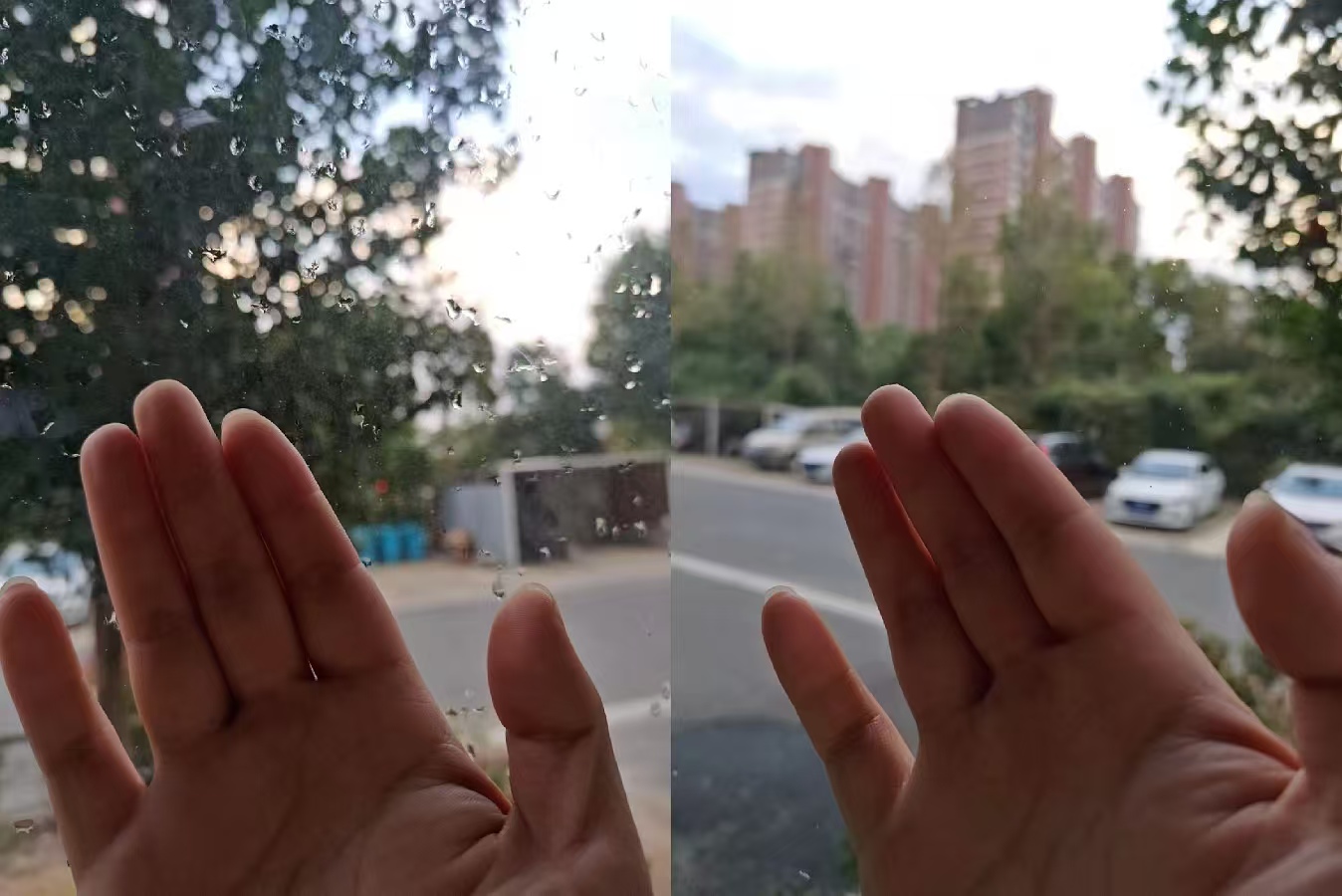 公司名称：上海蓝飞精细化工科技有限公司，品牌名：蓝飞，联系方式：13801733053，18930304257