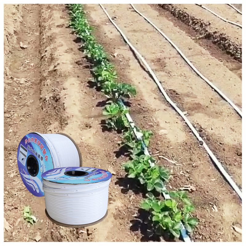 外白内黑贴片滴灌带