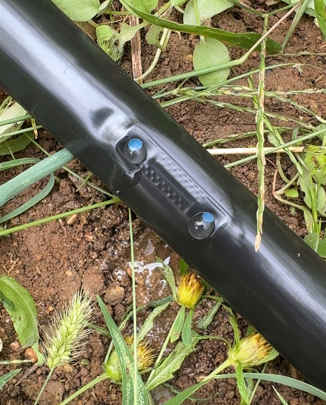 2026草莓育苗用外白内黑滴灌带、银灰色贴条滴灌带选型指南：三大主流方案的特点与适用场景